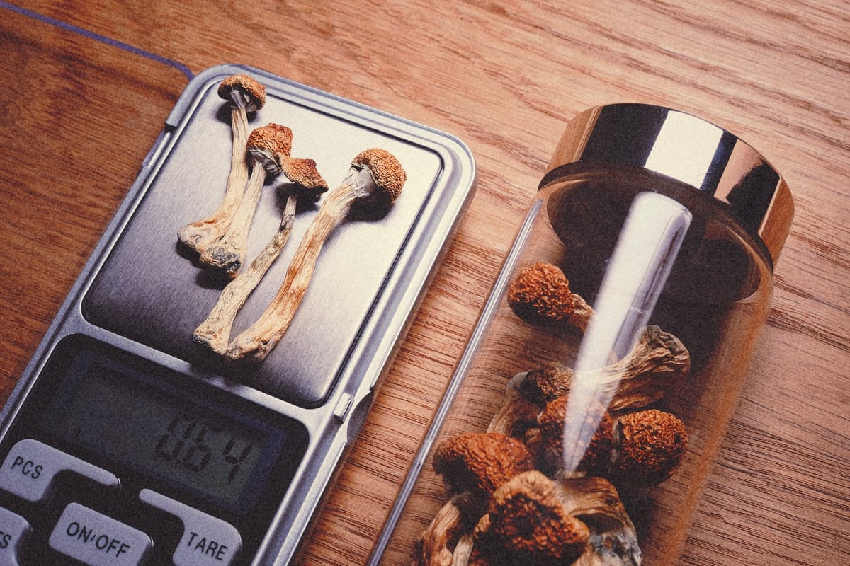 Australia’s psychedelic revolution is being strangled